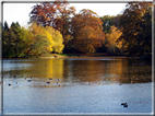 foto Parco Karlsaue in Autunno